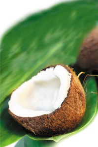 coconut on the leaf