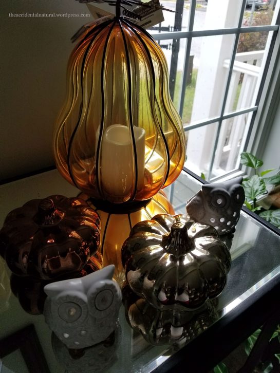 fall decor_9