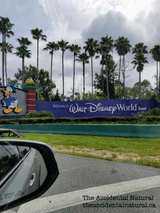 Disney World sign