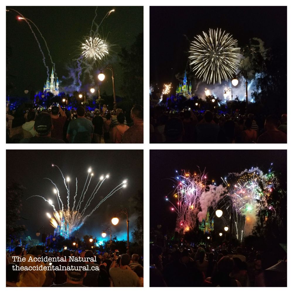 Disney_Fireworks